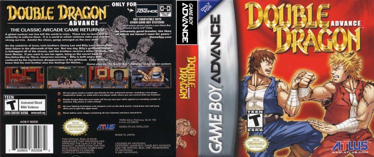 Double Dragon Advance - Game Boy Advance | VideoGameX