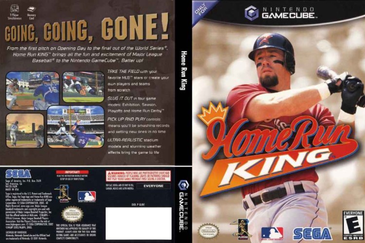 Home Run KING - Gamecube | VideoGameX