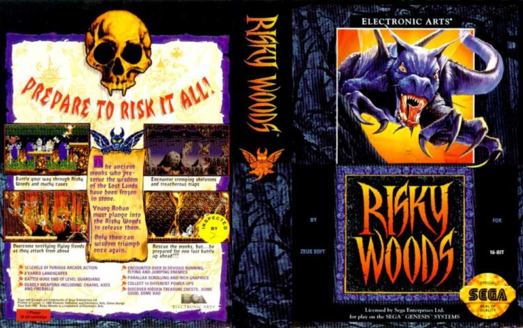 Risky Woods - Sega Genesis | VideoGameX