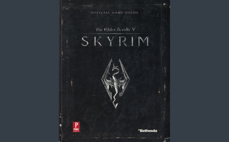 Elder Scrolls V: Skyrim Guide - Strategy Guides | VideoGameX