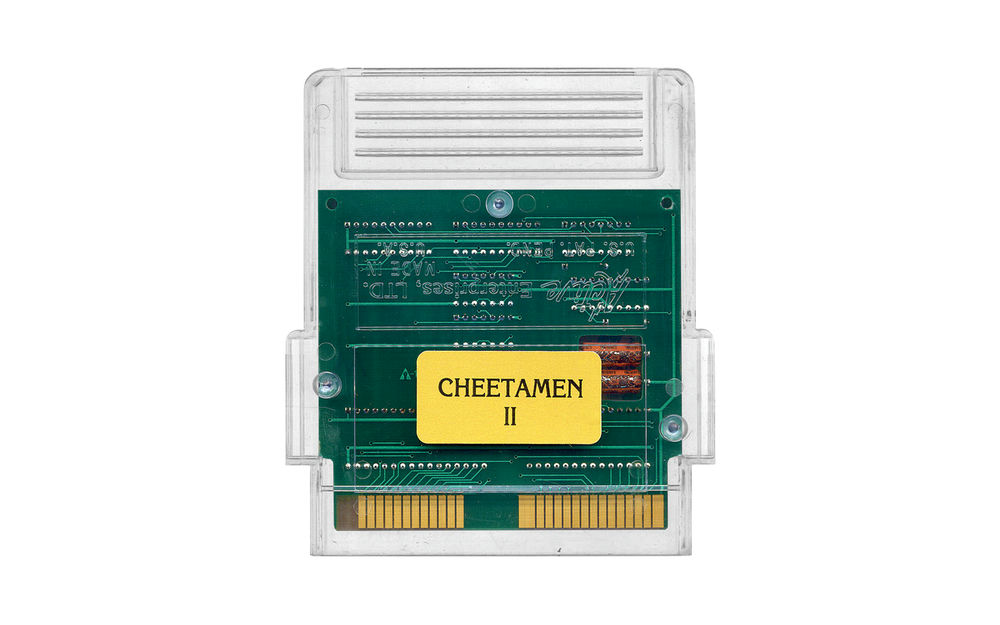 Cheetahmen II - Nintendo NES | VideoGameX