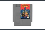 Tombs & Treasure - Nintendo NES | VideoGameX