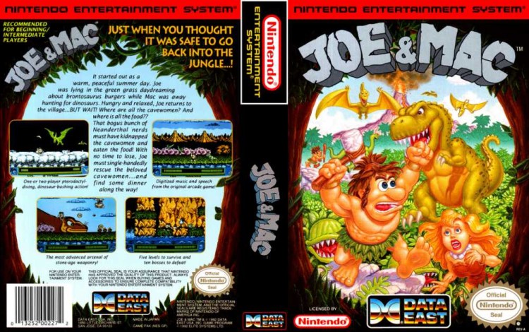 Joe & Mac - Nintendo NES | VideoGameX