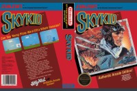 Sky Kid - Nintendo NES | VideoGameX