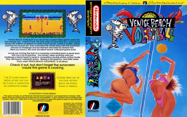 Venice Beach Volleyball - Nintendo NES | VideoGameX